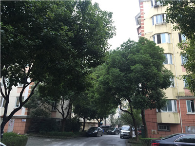 ������ ͩ����· �²׻�԰