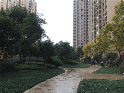 �⽭�� ������· �º������ ����Է