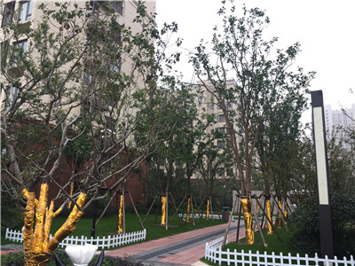 ����� ��Ҥ·�밲Ԫ·���㴦 ���VCС��