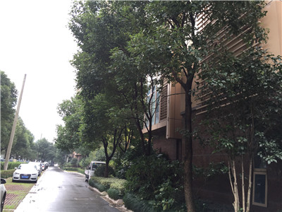 ԰�� ����ˮ��