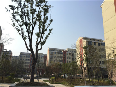 ������ �����Ŵ�B��