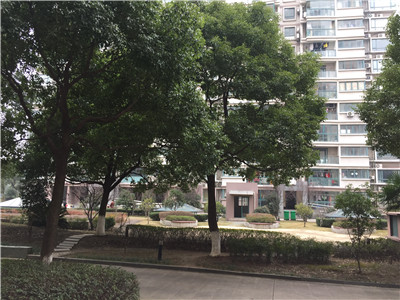 ԰�� ������Ԣ